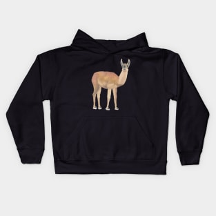 LLAMA - LLAMA CLOSE UP - From the Andes in Peru Kids Hoodie